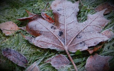 Räntä lentää…