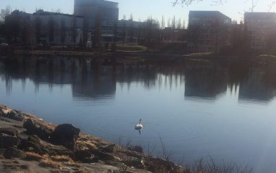 Äiti, äiree, äippä
