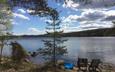 Kohti kesää